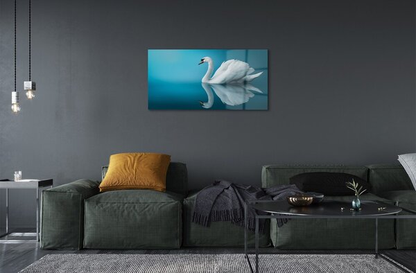 Sklenený obraz Swan vo vode 100x50 cm 2 Prívesky