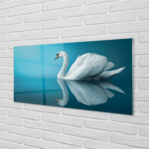 Sklenený obraz Swan vo vode 100x50 cm 2 Prívesky