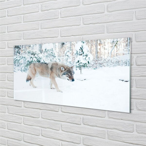 Sklenený obraz Vlk v zime lese 100x50 cm 2 Prívesky