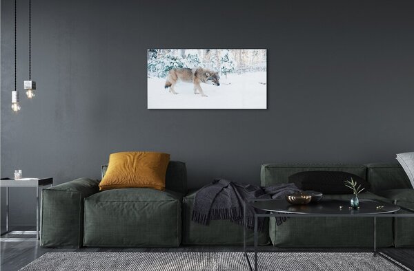 Sklenený obraz Vlk v zime lese 100x50 cm 2 Prívesky
