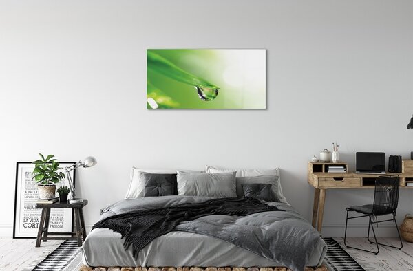 Obraz na skle Drop list slnko 100x50 cm 2 Prívesky