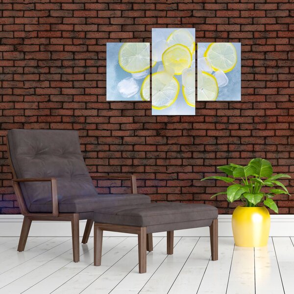 Obraz citróna v ľade (90x60 cm)