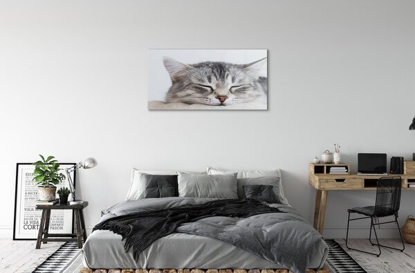 Sklenený obraz ospalá mačka 100x50 cm 2 Prívesky