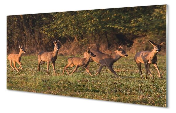 Sklenený obraz Deer Golf svitania 100x50 cm 2 Prívesky