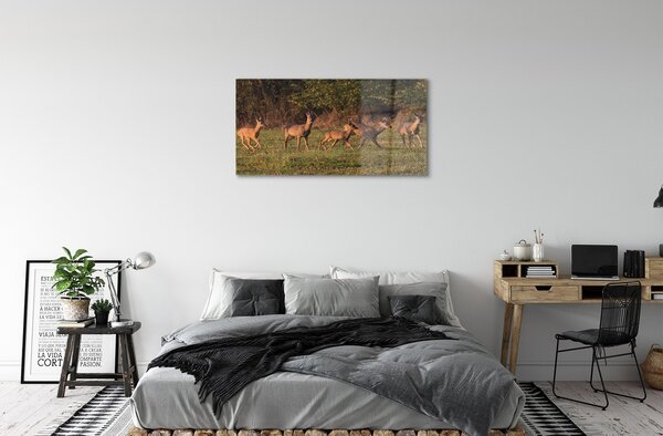 Sklenený obraz Deer Golf svitania 100x50 cm 2 Prívesky