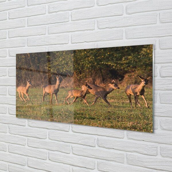 Sklenený obraz Deer Golf svitania 100x50 cm 2 Prívesky
