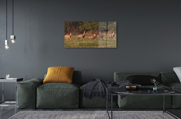 Sklenený obraz Deer Golf svitania 100x50 cm 2 Prívesky