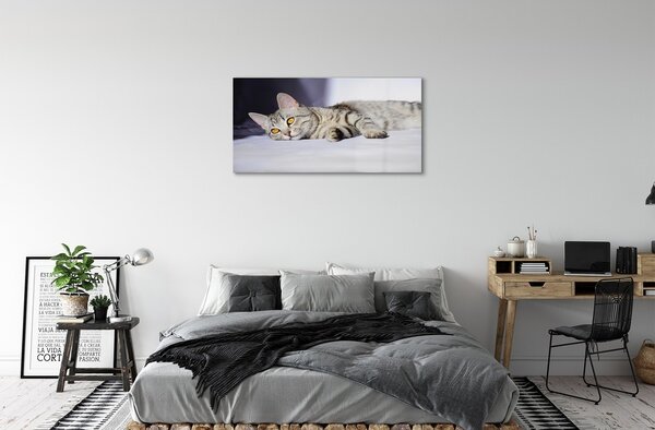 Sklenený obraz ležiace mačka 100x50 cm 2 Prívesky