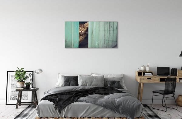 Sklenený obraz Zaglądający cat 100x50 cm 2 Prívesky