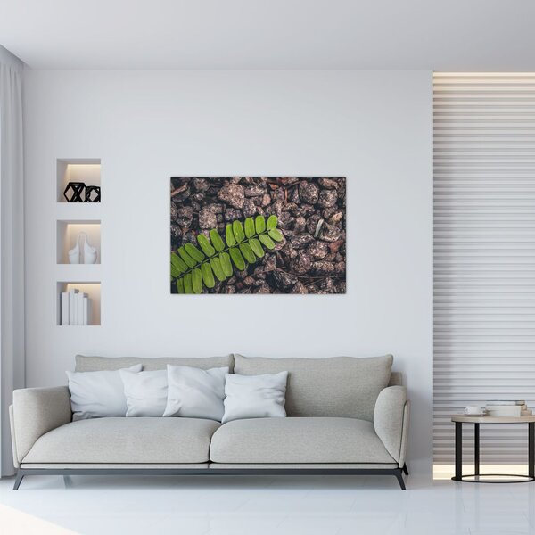 Obraz zelenej rastliny (90x60 cm)
