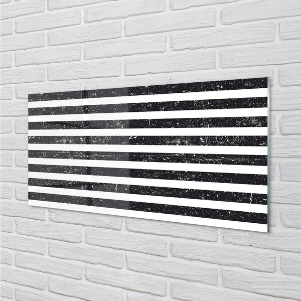 Sklenený obraz Zebra pruhy škvrny 100x50 cm 2 Prívesky