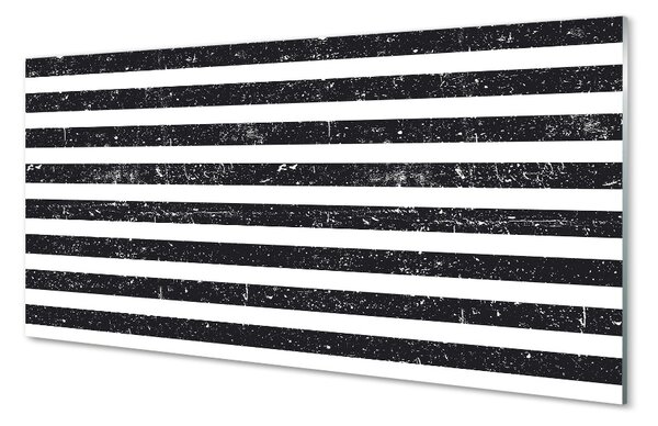 Sklenený obraz Zebra pruhy škvrny 100x50 cm 2 Prívesky