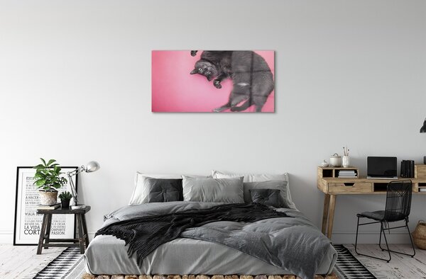 Sklenený obraz ležiace mačka 100x50 cm 2 Prívesky