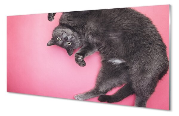 Sklenený obraz ležiace mačka 100x50 cm 2 Prívesky