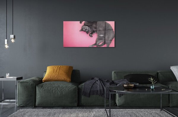 Sklenený obraz ležiace mačka 100x50 cm 2 Prívesky