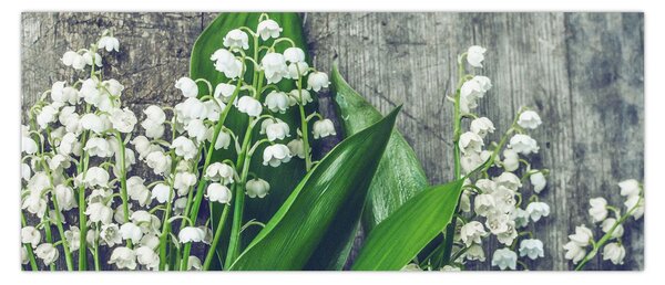 Obraz konvaliniek (120x50 cm)