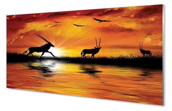 Obraz na skle Vtáky jazero západ 100x50 cm 2 Prívesky