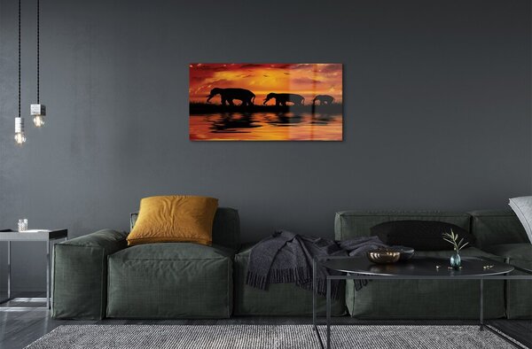 Obraz na skle slony West Lake 100x50 cm 2 Prívesky