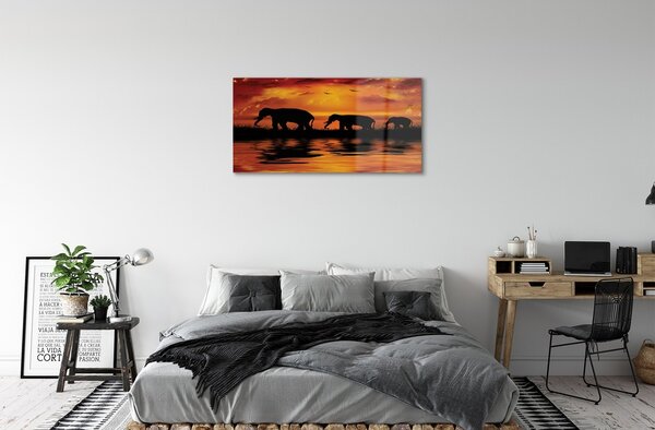 Obraz na skle slony West Lake 100x50 cm 2 Prívesky