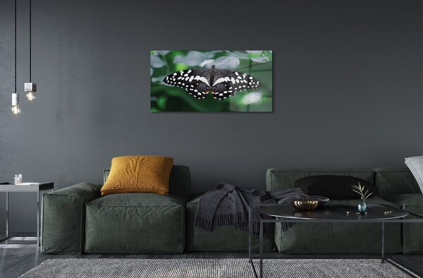 Sklenený obraz Farebný motýľ lístia 100x50 cm 2 Prívesky
