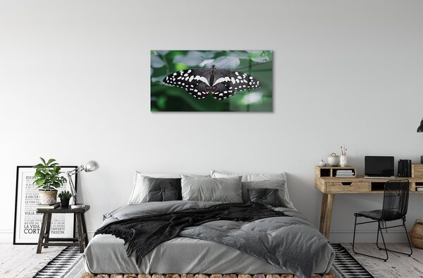 Sklenený obraz Farebný motýľ lístia 100x50 cm 2 Prívesky