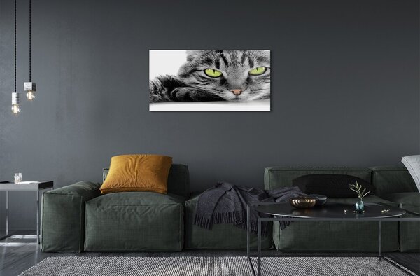 Sklenený obraz šedočierna mačka 100x50 cm 2 Prívesky