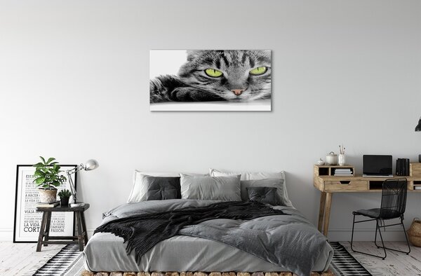 Sklenený obraz šedočierna mačka 100x50 cm 2 Prívesky
