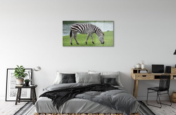 Sklenený obraz zebra 100x50 cm 2 Prívesky