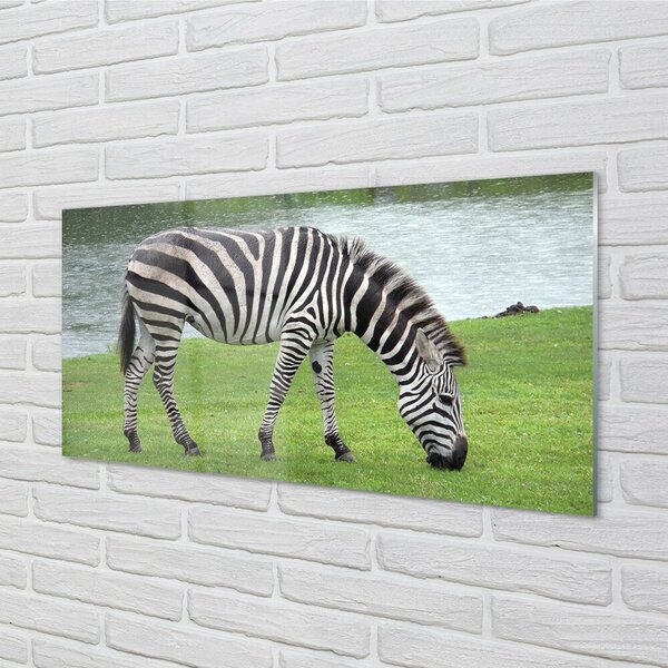 Sklenený obraz zebra 100x50 cm 2 Prívesky