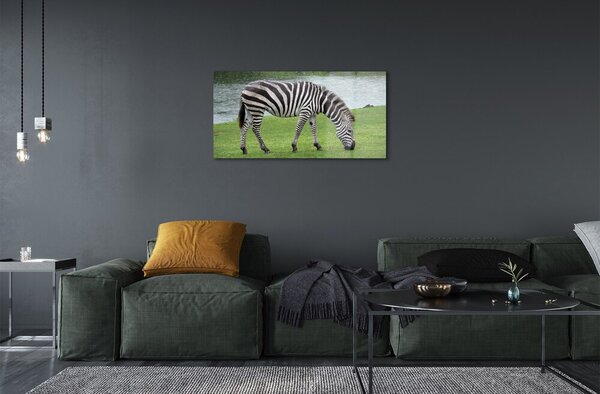 Sklenený obraz zebra 100x50 cm 2 Prívesky