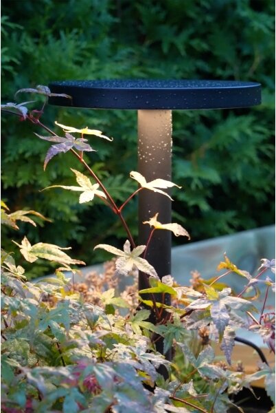 Markslöjd 108173 - LED vonkajšie svietidlo GARDEN24 LED/5W/24V 96 cm IP44 čierne