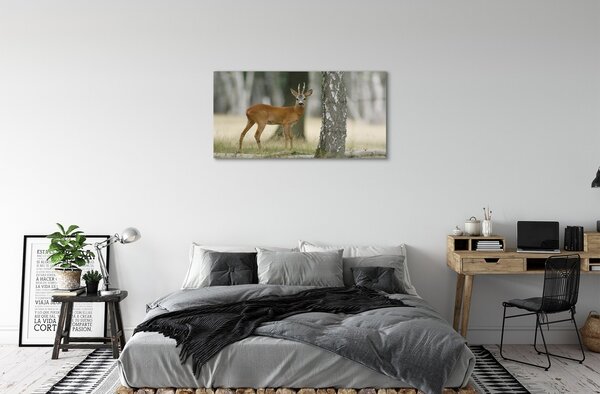 Sklenený obraz jeleň lesný 100x50 cm 2 Prívesky