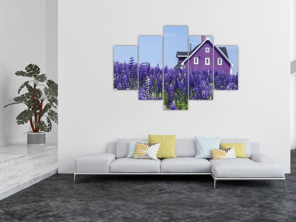 Obraz levanduľového poľa (150x105 cm)