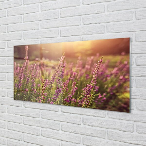 Sklenený obraz heather pole 100x50 cm 2 Prívesky