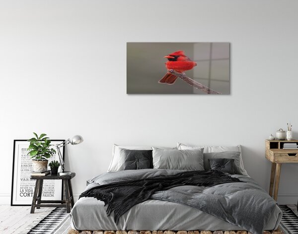 Sklenený obraz Red papagáj na vetve 100x50 cm 2 Prívesky