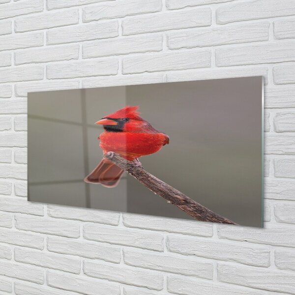 Sklenený obraz Red papagáj na vetve 100x50 cm 2 Prívesky