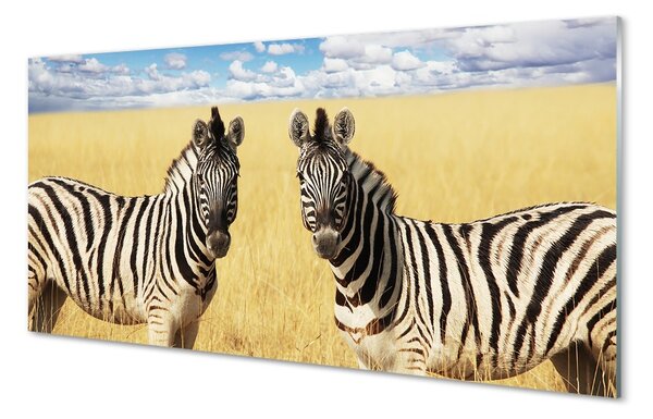Sklenený obraz zebra box 100x50 cm 2 Prívesky
