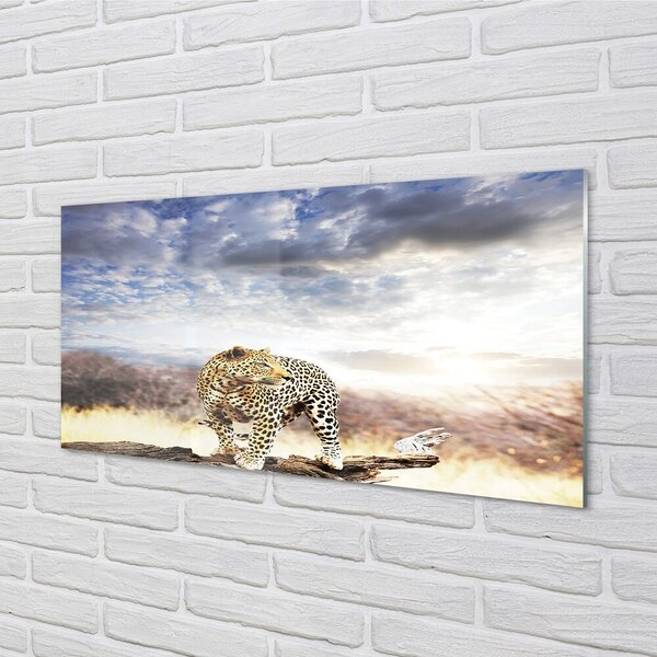 Obraz na skle panter mraky 100x50 cm 2 Prívesky