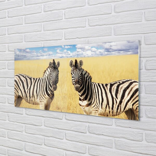 Sklenený obraz zebra box 100x50 cm 2 Prívesky