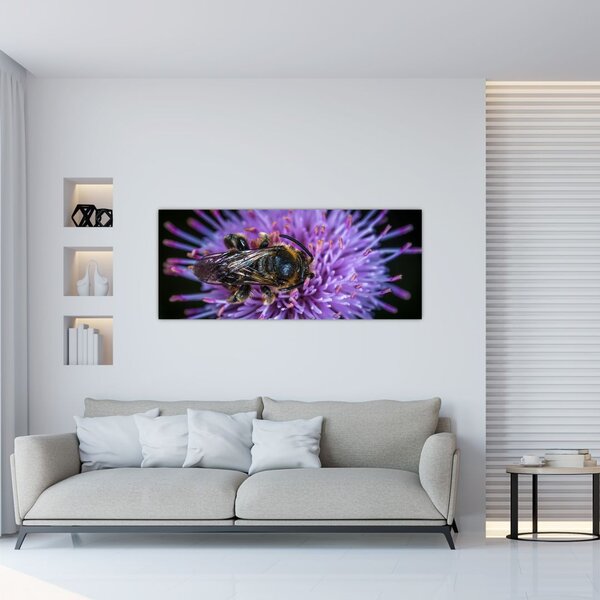 Obraz včely na kvetine (120x50 cm)