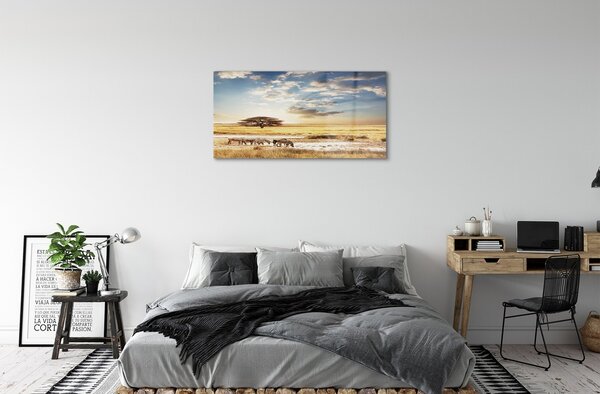Obraz na skle Zebra mraky strom 100x50 cm 2 Prívesky