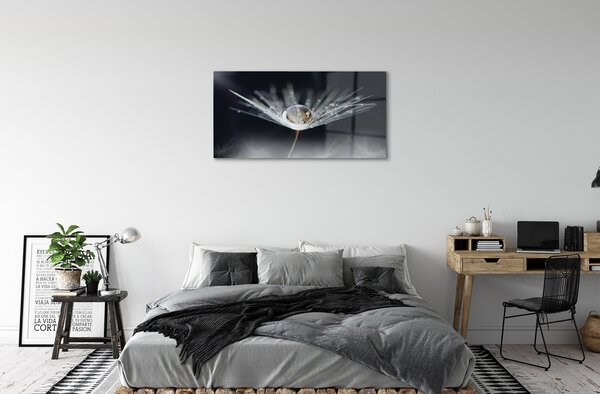 Obraz na skle Drop púpava makro 100x50 cm 2 Prívesky