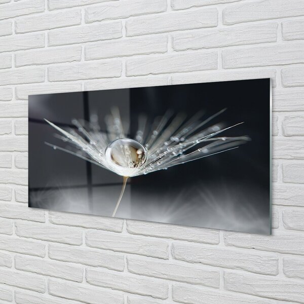 Obraz na skle Drop púpava makro 100x50 cm 2 Prívesky