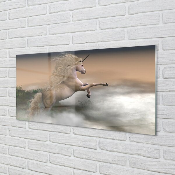 Sklenený obraz Unicorn mraky 100x50 cm 2 Prívesky