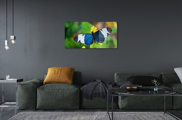 Sklenený obraz Farebný motýľ na kvety 100x50 cm 2 Prívesky