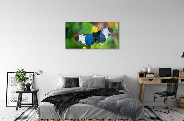 Sklenený obraz Farebný motýľ na kvety 100x50 cm 2 Prívesky