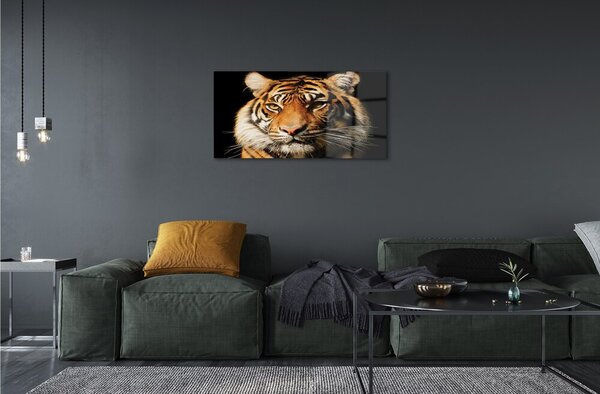 Sklenený obraz tiger 100x50 cm 2 Prívesky