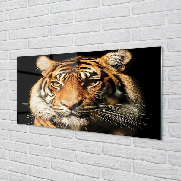 Sklenený obraz tiger 100x50 cm 2 Prívesky