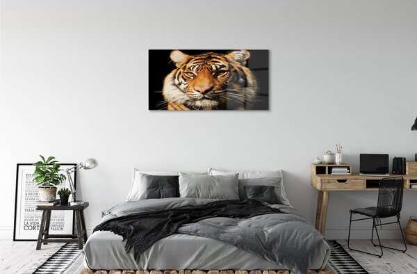 Sklenený obraz tiger 100x50 cm 2 Prívesky