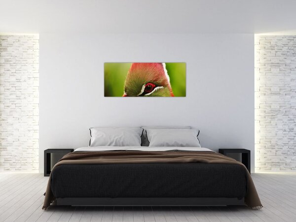 Obraz farebného vtáka (120x50 cm)